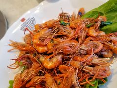 油爆河虾-和满堂·经典本帮菜(川沙古镇店)
