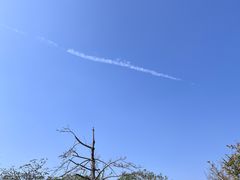 -立新湖公园