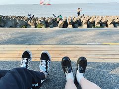 -上海滨江森林公园