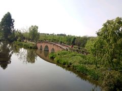 -白鹭湾湿地公园