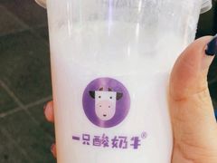 -一只酸奶牛(八一路店)