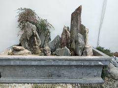 -中国昆曲博物馆