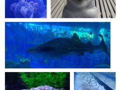 -成都浩海立方海洋公园