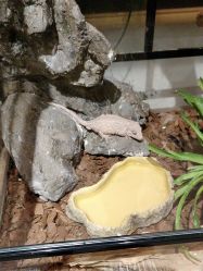 -Zoolung Zoolung动物主题公园(海信广场店)