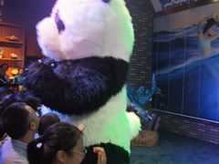 -成都浩海立方海洋公园