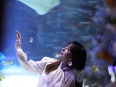 -沈阳海洋探索中心