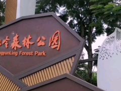 -风云岭森林公园