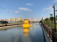 -菊园百果园