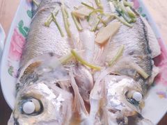 -野荸荠