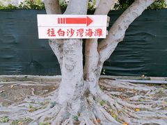 -白沙湾海滩