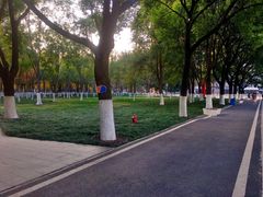 -西北湖绿化广场