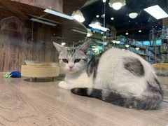 -宠物世家(仲盛世界商城店)