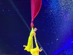 -灵玲国际马戏城
