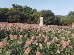 -玫瑰海岸文化旅游度假区