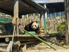 -大连森林动物园