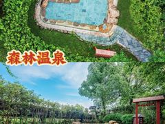-佛冈森波拉度假区