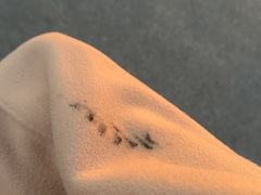 -福奈特洗衣洗鞋(莘谭路店)