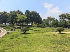 -滨湖塘西河公园