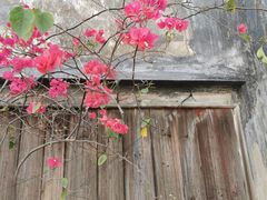 -东山风动石景区