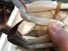 -浙C老邻舍(西城海错店)