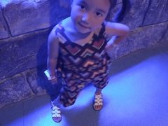 -多彩贵州城极地海洋世界