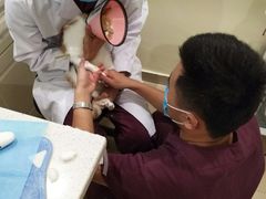 -美迦爱-牙专科·兔科·骨科诊疗中心(北苑店)