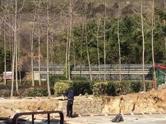 -安徽禾泉小镇