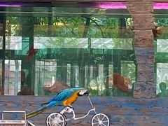 -南宫五洲植物乐园