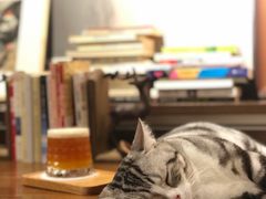 包房-咖法森林·咖啡  酒吧(天河店)