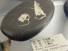 -本溪水洞