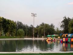 -柳浪游泳场