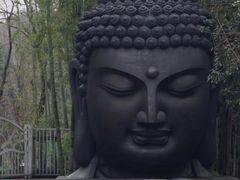 -杭州植物园