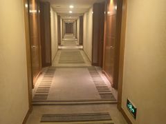 -上海浦东康桥绿地假日酒店