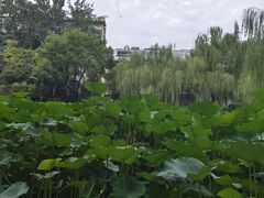 -西安市长乐公园