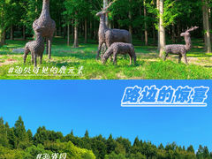 -东平国家森林公园