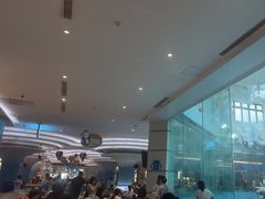 -帝企鹅自助餐厅•儿童岛•真企鹅(长隆企鹅酒店)