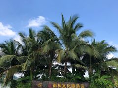 -呀诺达热带雨林