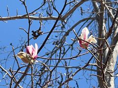 -元大都城垣遗址公园