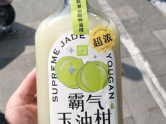 霸气玉油柑-奈雪的茶(石家庄万象城店)