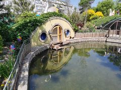 -南宫五洲植物乐园