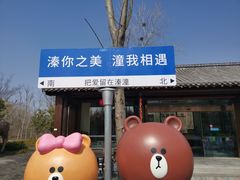 -溱湖国家湿地公园