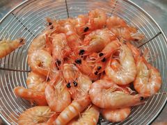 小斑节虾-凯华海鲜火锅·传承三十六年