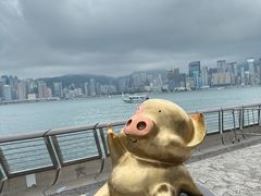 -星光大道