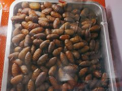 -永安里地摊烤肉(首创店)