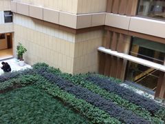 -红星国际广场