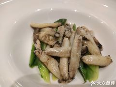 -新光酒家·河豚·海鲜·蟹料理(浦东店)