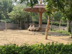 -石家庄市动物园