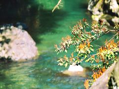 -石台牯牛降景区