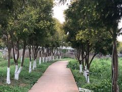 -紫颐香薰山谷景区