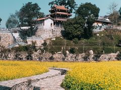-福建土楼（华安）旅游区•大地土楼群